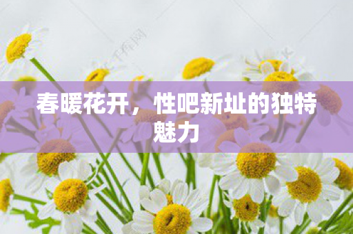 性吧新址的独特魅力图片