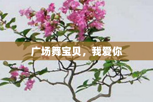 广场舞宝贝图片