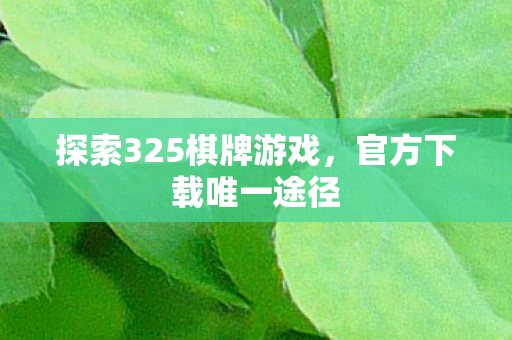 探索325棋牌游戏图片
