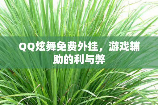 QQ炫舞免费外挂图片