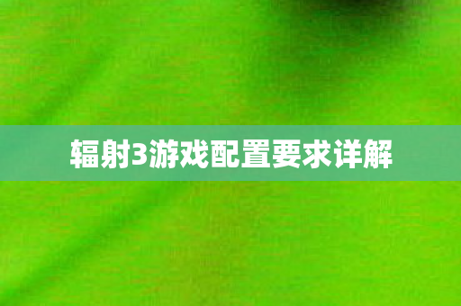辐射3游戏配置要求详解图片