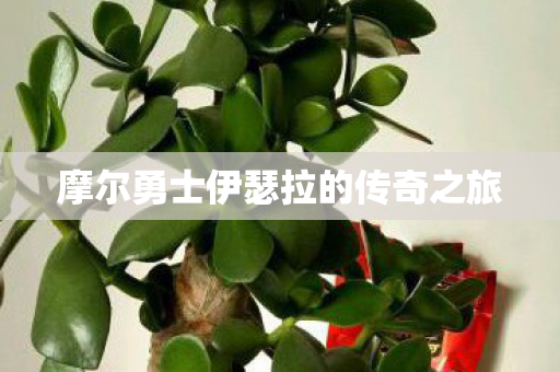 摩尔勇士伊瑟拉的传奇之旅图片