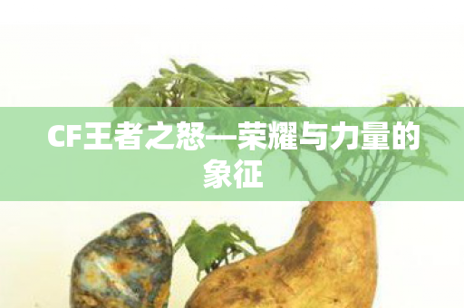 荣耀与力量的象征图片