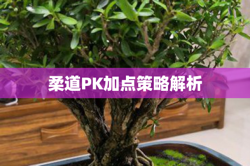 柔道PK加点策略解析图片