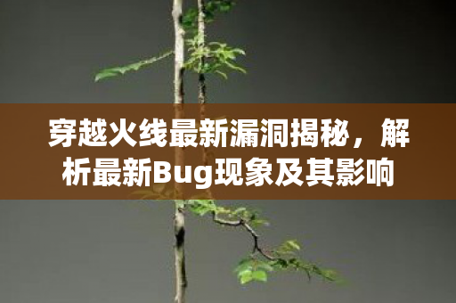 解析最新Bug现象及其影响图片