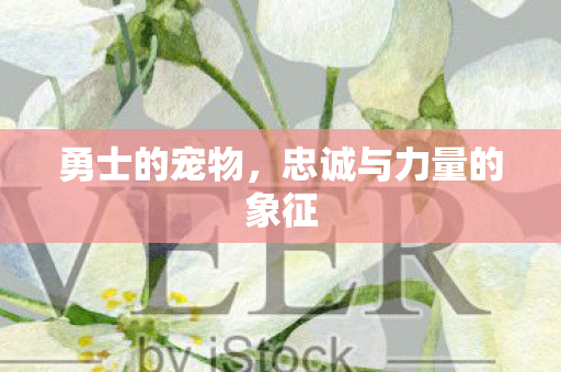 忠诚与力量的象征图片