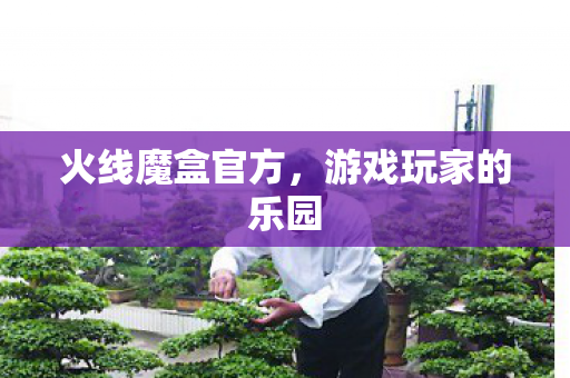 游戏玩家的乐园图片