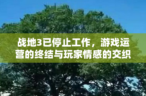 游戏运营的终结与玩家情感的交织图片