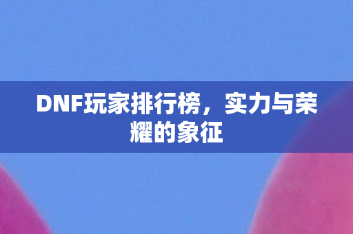 DNF玩家排行榜图片