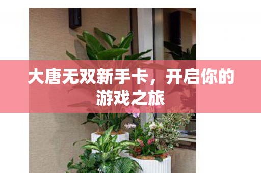 开启你的游戏之旅图片