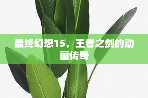 王者之剑的动画传奇图片