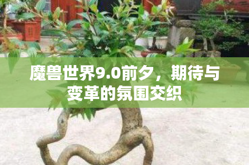 期待与变革的氛围交织图片