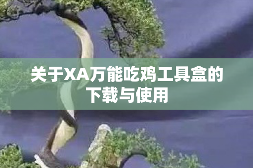关于XA万能吃鸡工具盒的下载与使用图片