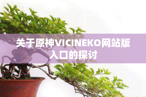 关于原神VICINEKO网站版入口的探讨图片