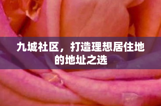 打造理想居住地的地址之选图片