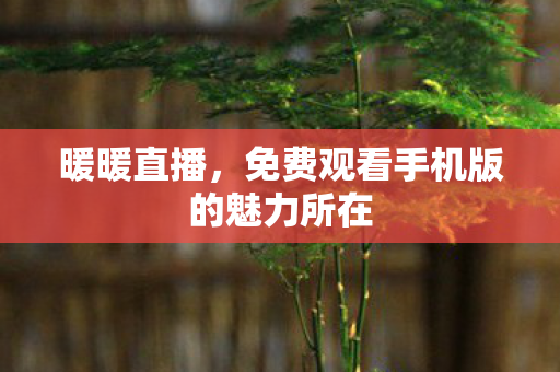 免费观看手机版的魅力所在图片