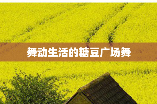 舞动生活的糖豆广场舞图片