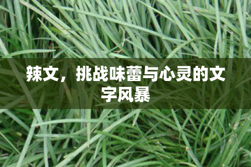 挑战味蕾与心灵的文字风暴图片