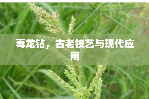 古老技艺与现代应用图片