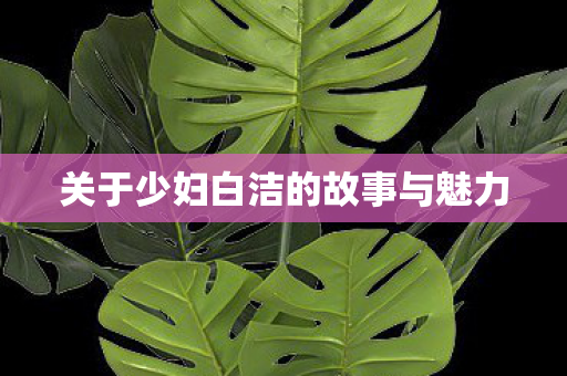 关于少妇白洁的故事与魅力图片