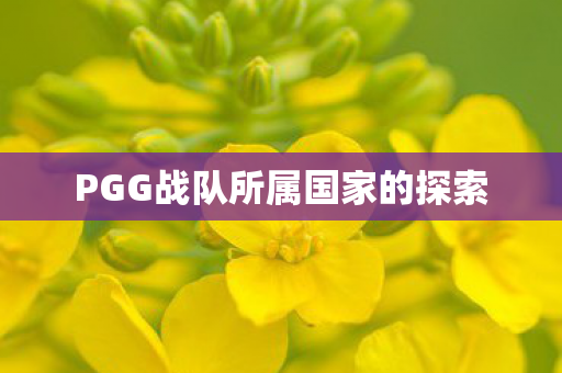 PGG战队所属国家的探索图片
