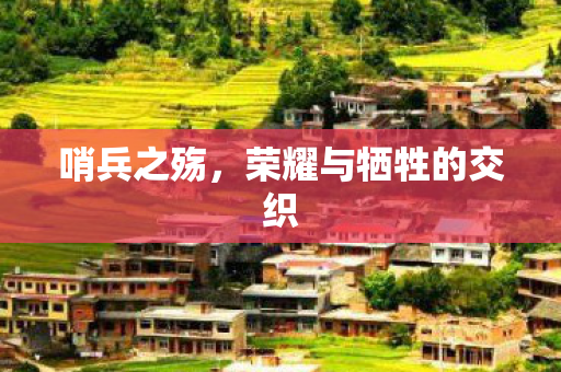 荣耀与牺牲的交织图片