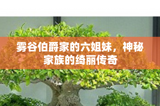 雾谷伯爵家的六姐妹图片