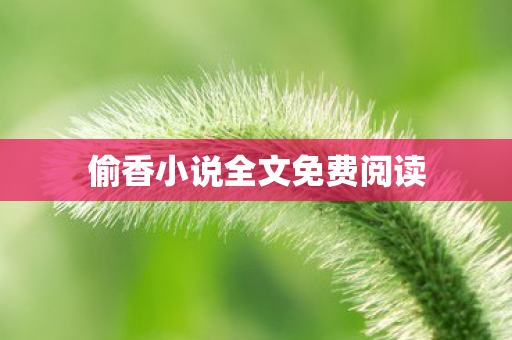 偷香小说全文免费阅读图片