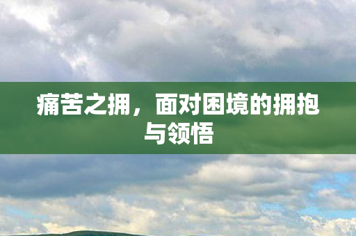 面对困境的拥抱与领悟图片