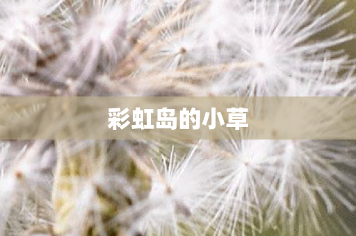 彩虹岛的小草图片