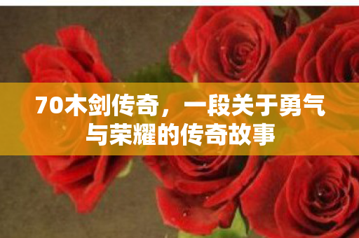 一段关于勇气与荣耀的传奇故事图片