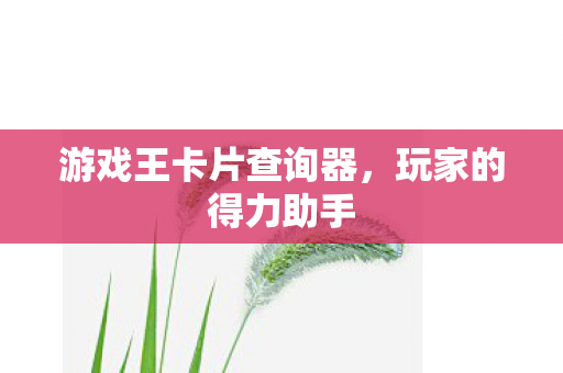 游戏王卡片查询器图片