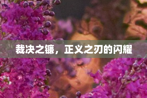 正义之刃的闪耀图片