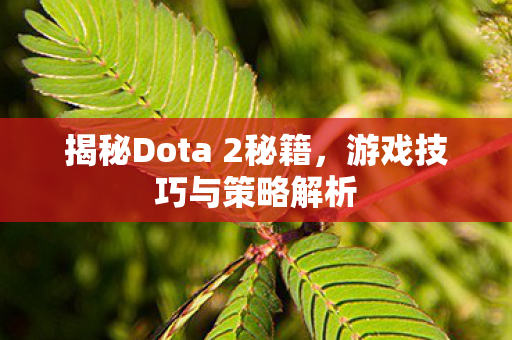 揭秘Dota 2秘籍图片