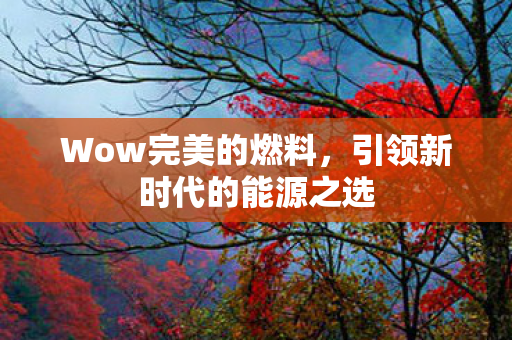 引领新时代的能源之选图片