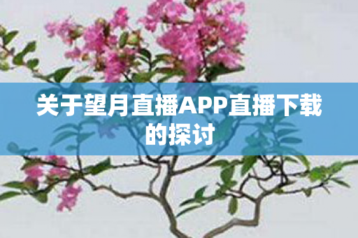 关于望月直播APP直播下载的探讨图片