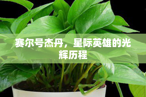 星际英雄的光辉历程图片