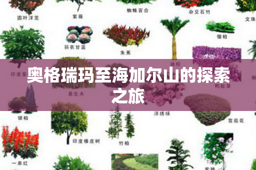 奥格瑞玛至海加尔山的探索之旅图片