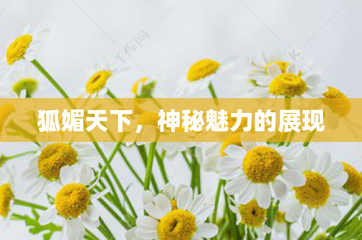 神秘魅力的展现图片