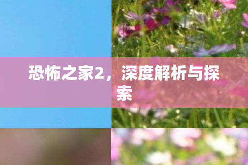 深度解析与探索图片