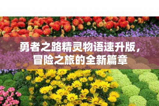 勇者之路精灵物语速升版图片