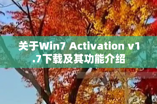 关于Win7 Activation v1图片