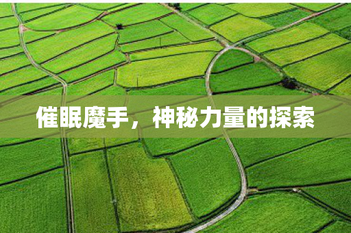 神秘力量的探索图片