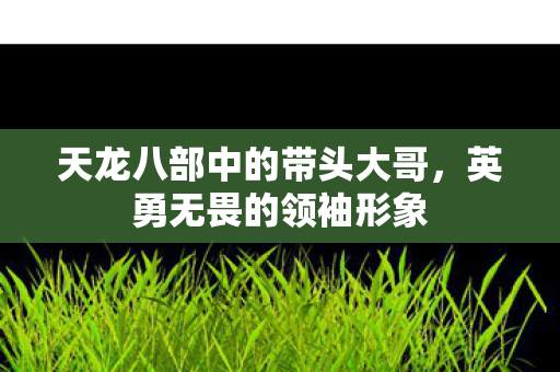 天龙八部中的带头大哥图片