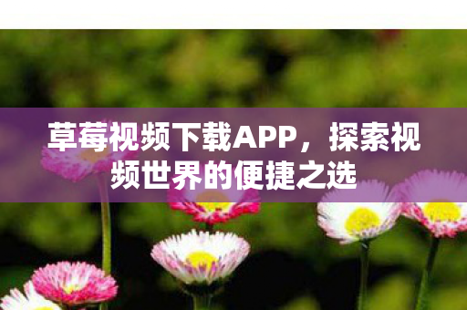 探索视频世界的便捷之选图片