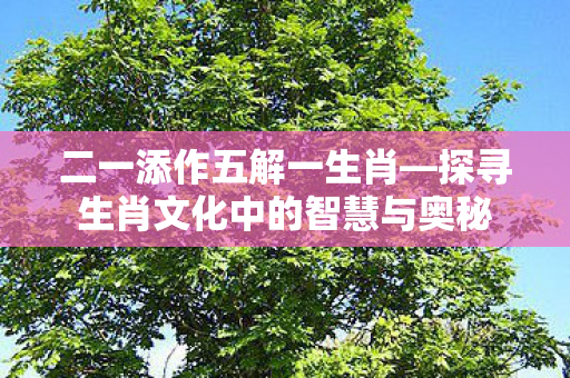 探寻生肖文化中的智慧与奥秘图片