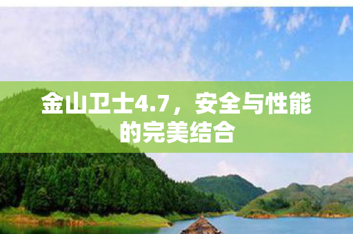 安全与性能的完美结合图片
