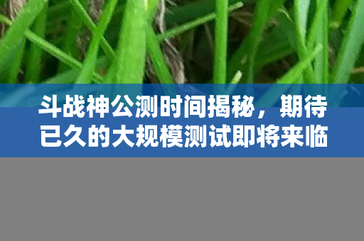 期待已久的大规模测试即将来临图片