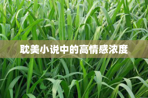 耽美小说中的高情感浓度图片