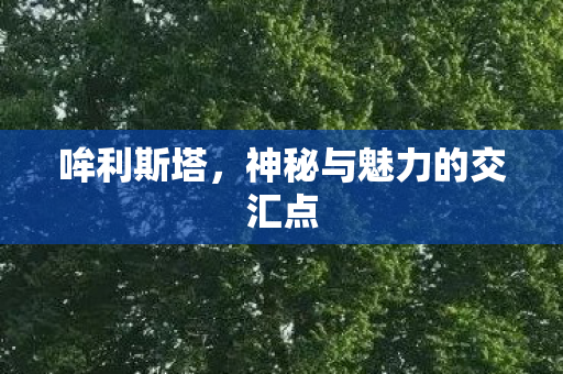 神秘与魅力的交汇点图片
